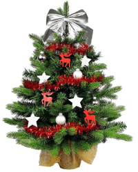 OTVÁRACIA DOBA POČAS VIANOC